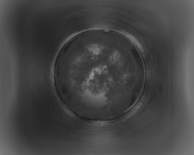 X0000103160854200808291449