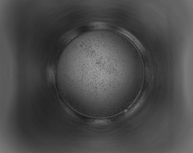X0000103160857200808291449