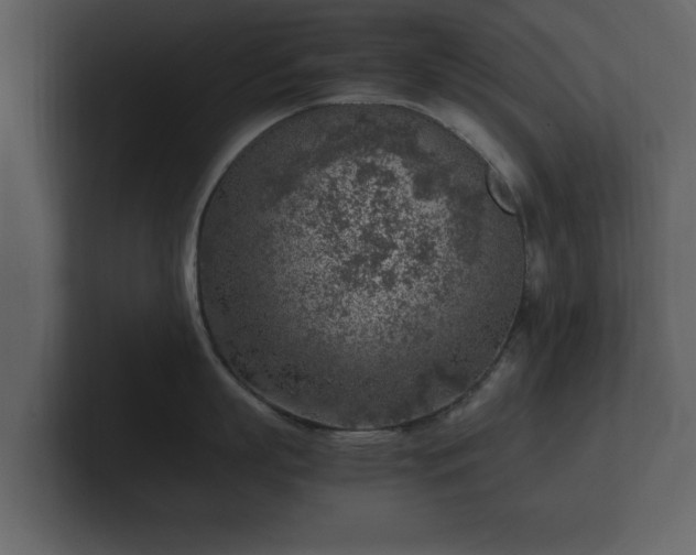 X0000103160863200808291449