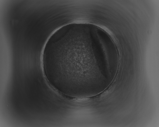 X0000103160864200808291449