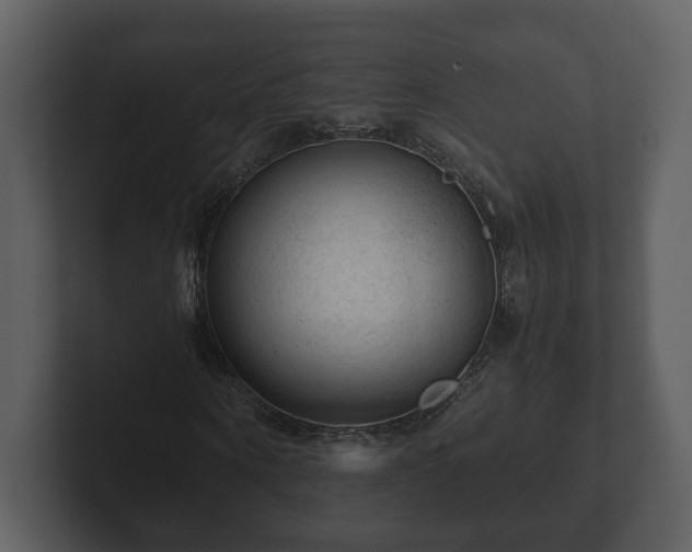 X0000103160866200808291448