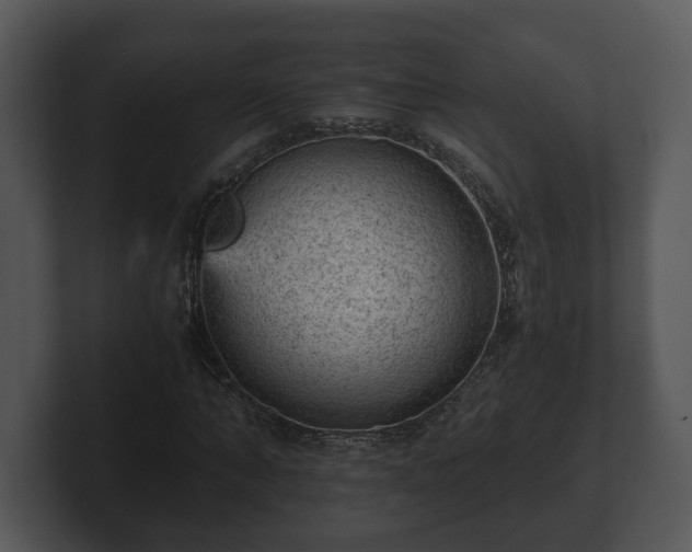 X0000103160870200808291448