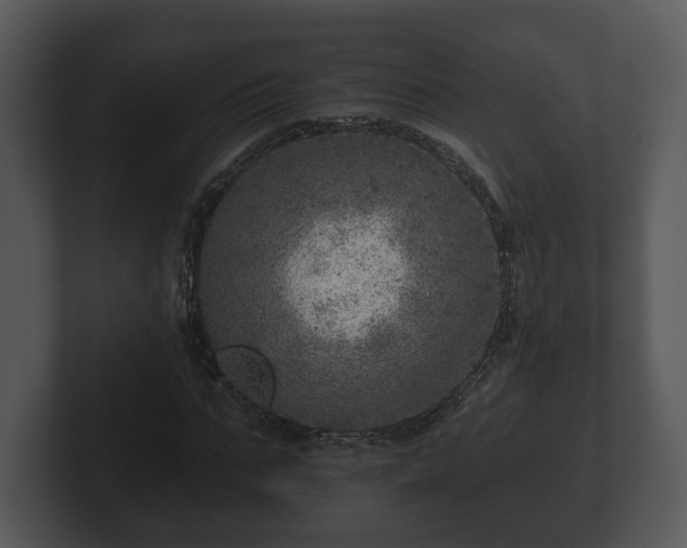 X0000103160871200808291448