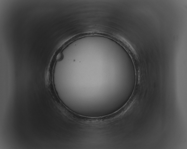 X0000103160876200808291448