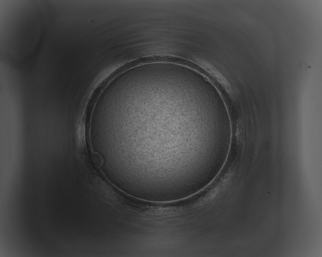 X0000103160877200808291448
