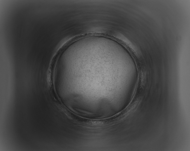 X0000103160878200808291448