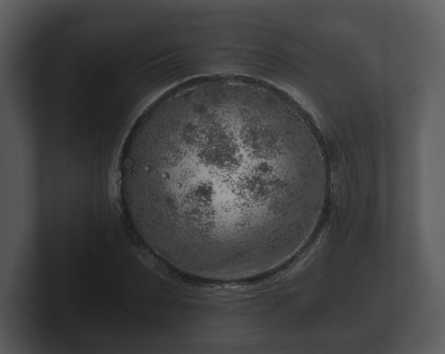 X0000103160879200808291448