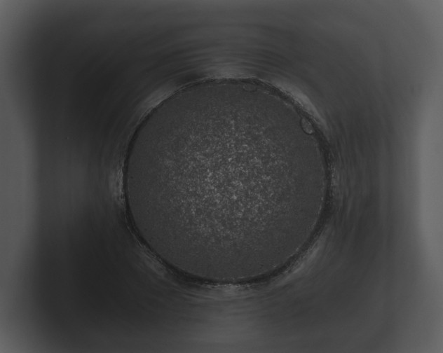 X0000103160881200808291448