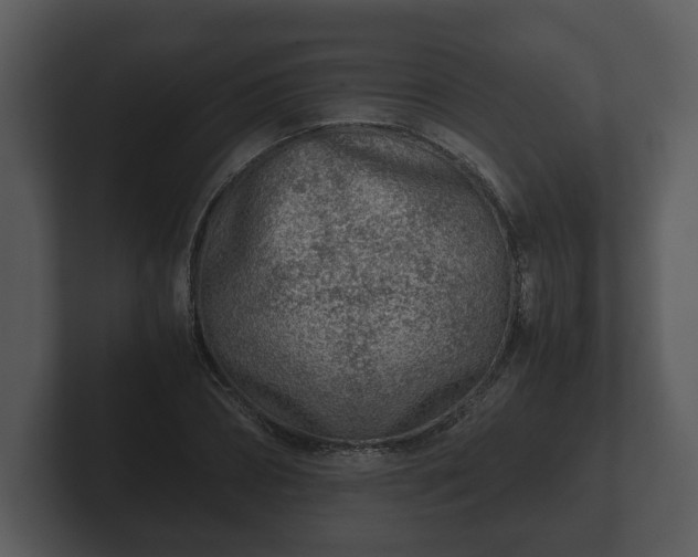 X0000103160882200808291448