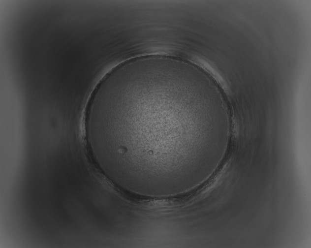 X0000103160883200808291448