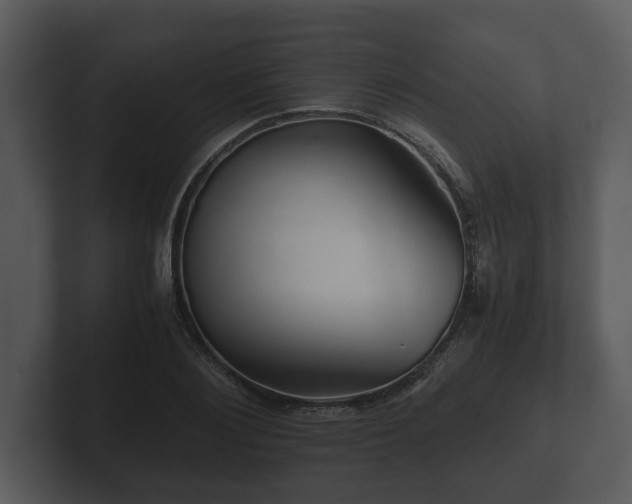 X0000103160884200808291448