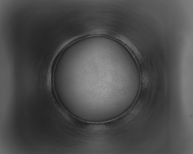 X0000103160886200808291448