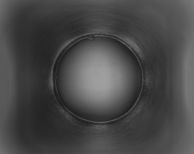 X0000103160888200808291448