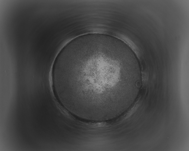 X0000103160891200808291448