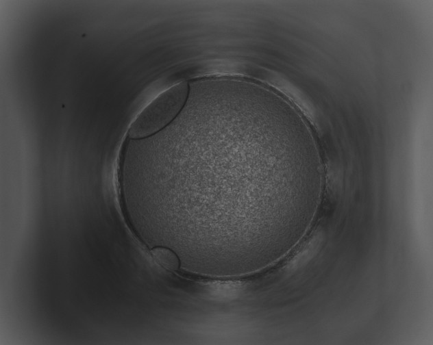 X0000103160893200808291448