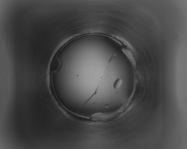 X0000103160894200808291448
