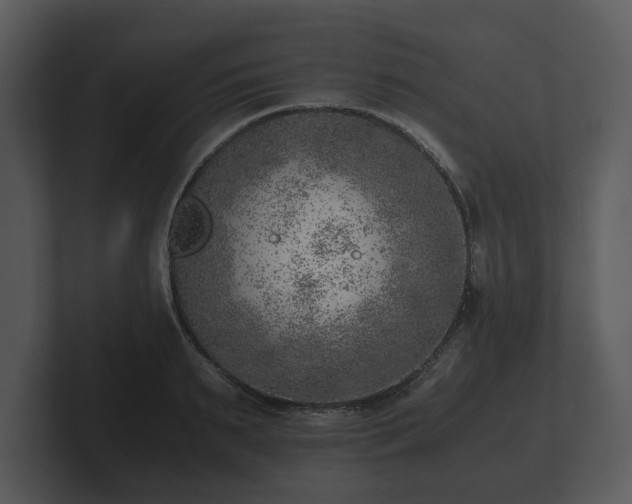 X0000103160895200808291448