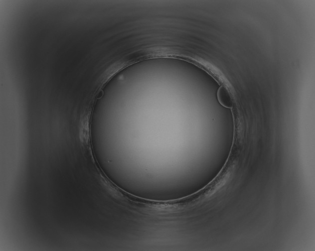 X0000103160897200808291448