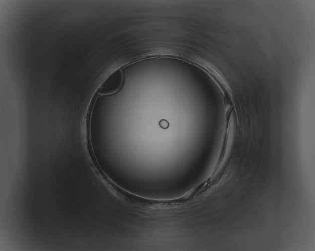 X0000103160898200808291448