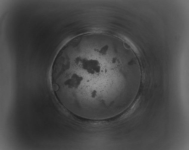X0000103160899200808291448