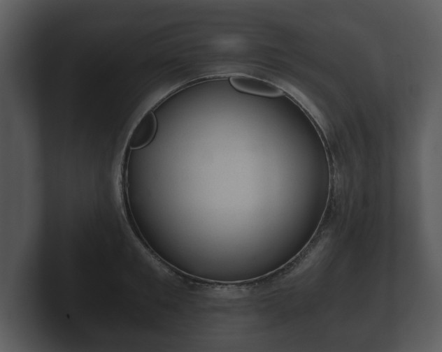 X0000103160901200808291448