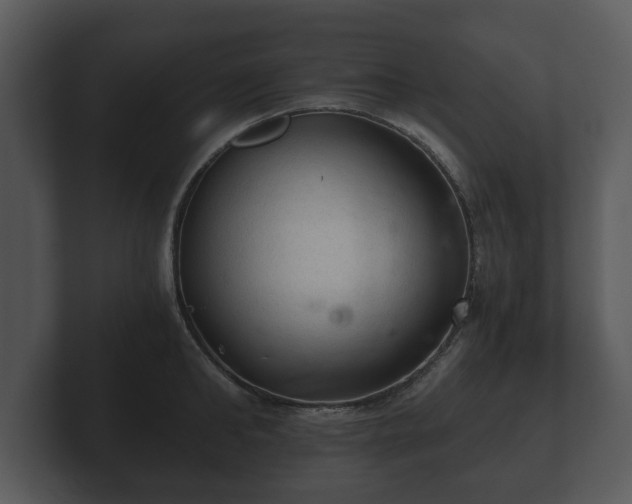 X0000103160902200808291448