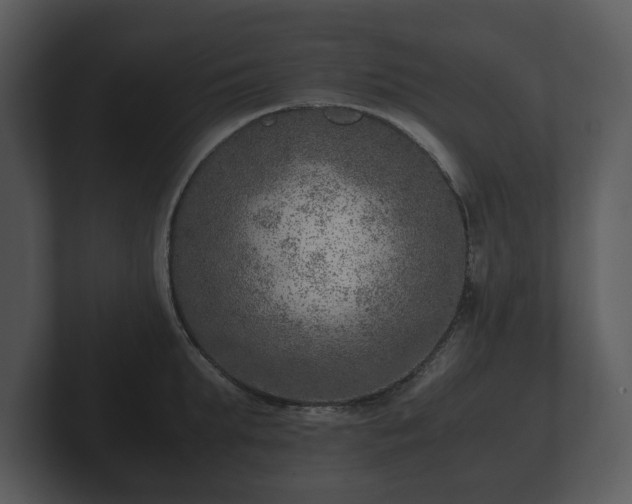 X0000103160903200808291448