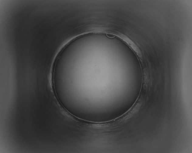 X0000103160904200808291448
