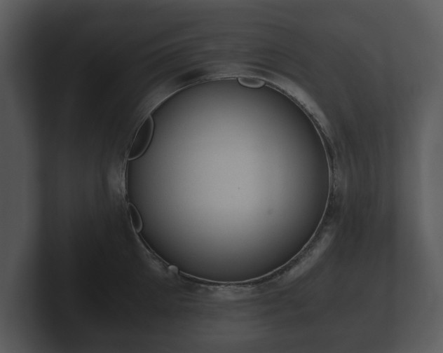 X0000103160905200808291448