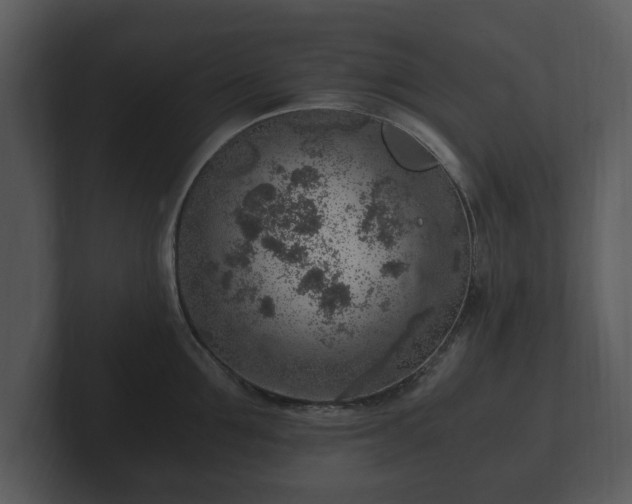 X0000103160907200808291448
