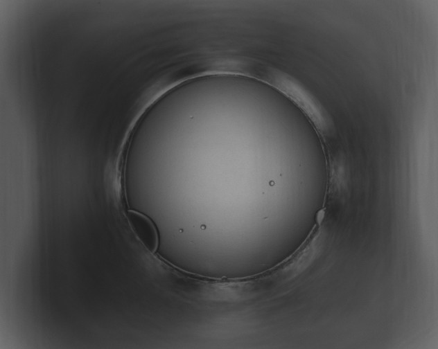 X0000103160908200808291448