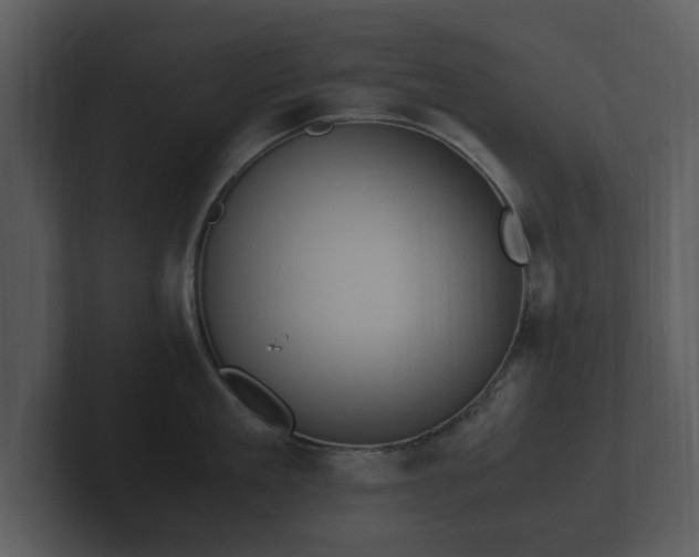 X0000103160909200808291448