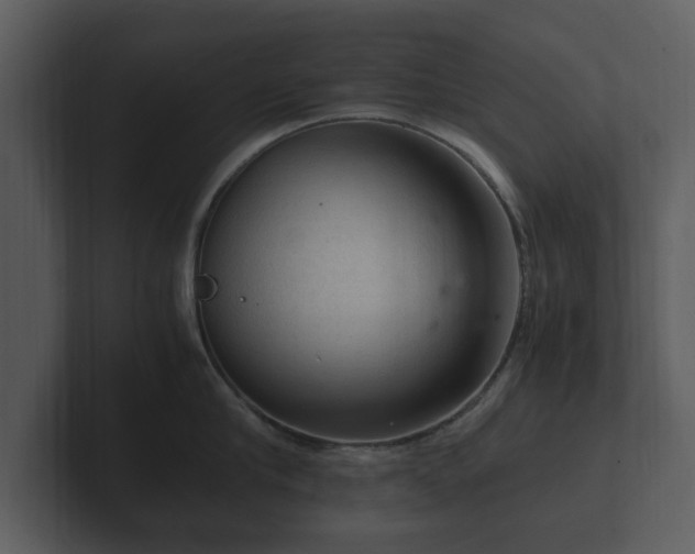X0000103160910200808291448