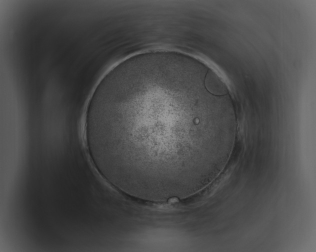 X0000103160911200808291448