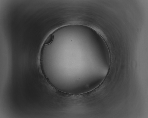 X0000103160912200808291448