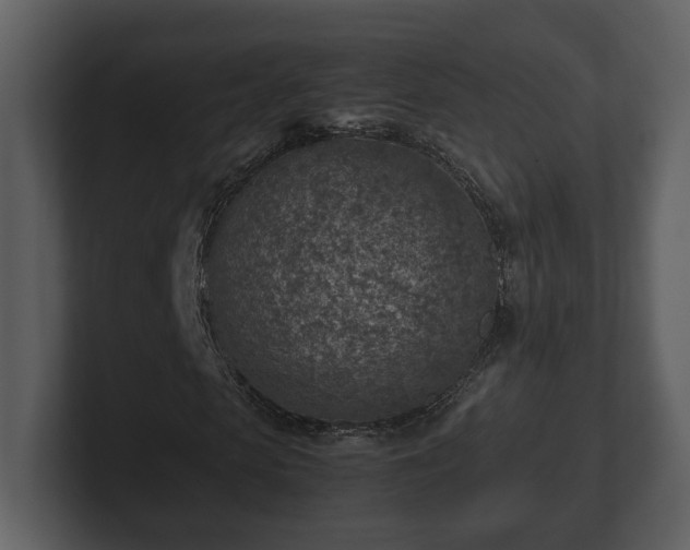 X0000103160913200808291447