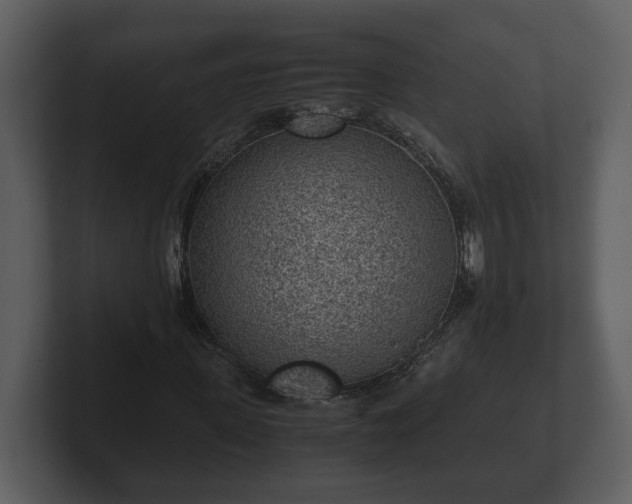 X0000103160915200808291447