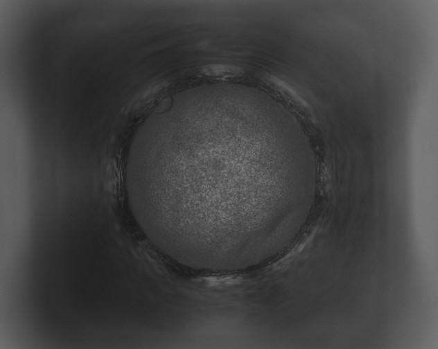 X0000103160917200808291447