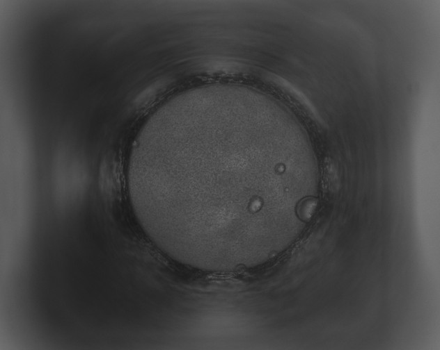 X0000103160918200808291447