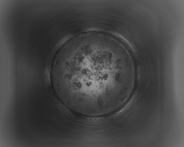X0000103160921200808291447