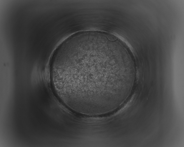 X0000103160925200808291447