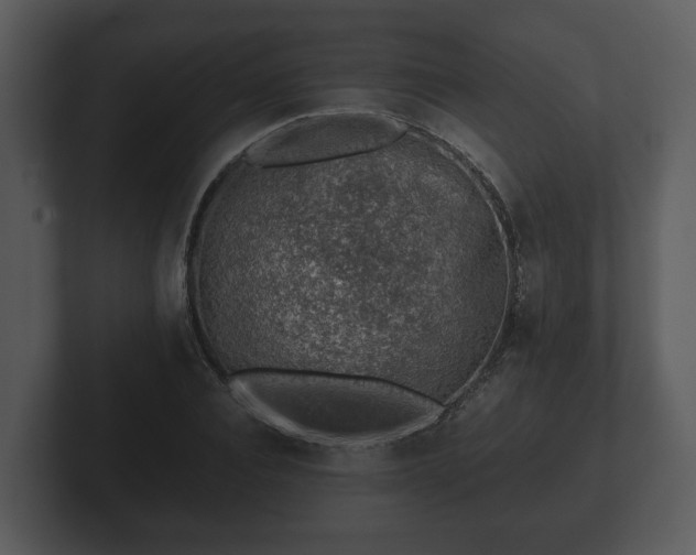 X0000103160928200808291447
