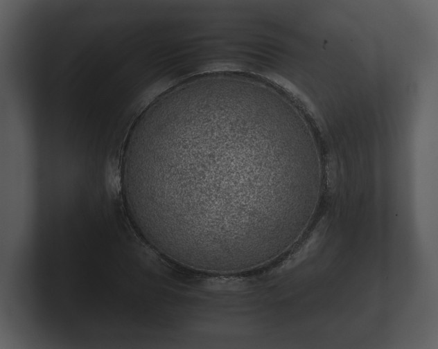 X0000103160929200808291447