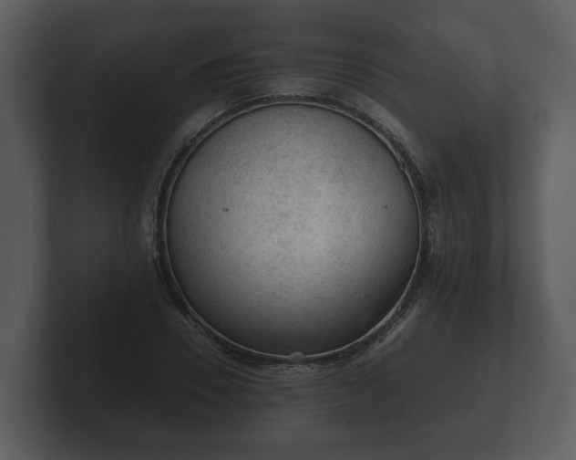 X0000103160930200808291447