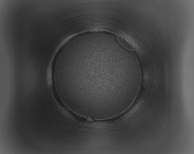 X0000103160934200808291447