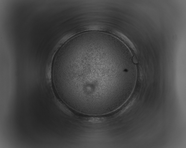 X0000103160938200808291447