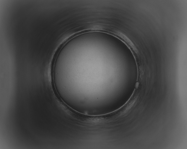 X0000103160939200808291447