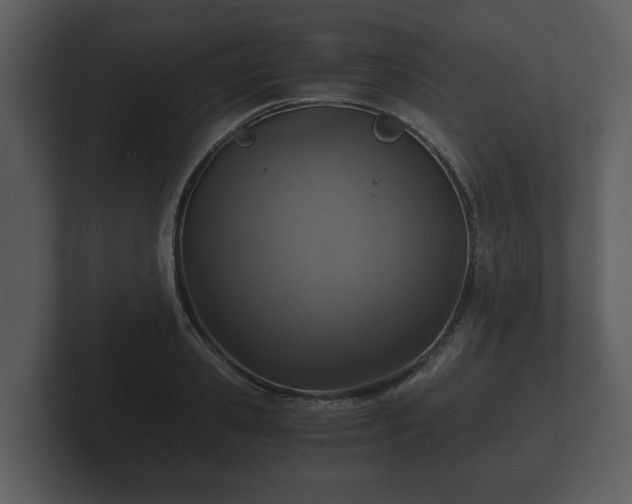 X0000103160941200808291447