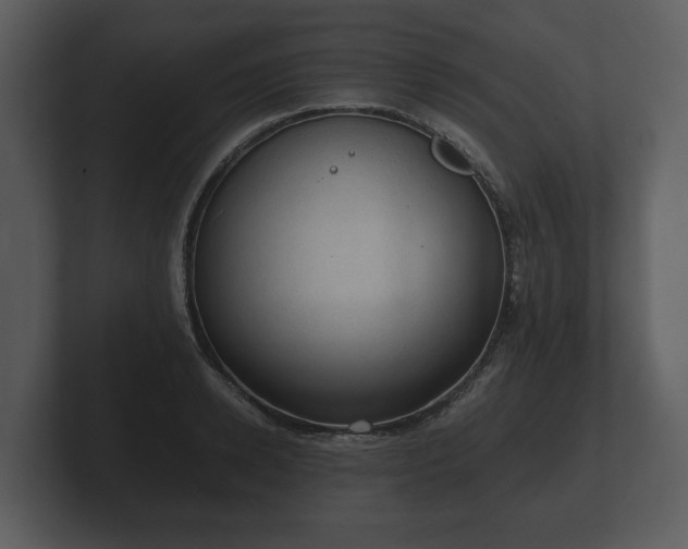 X0000103160942200808291447