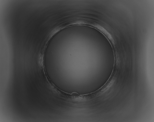 X0000103160945200808291447